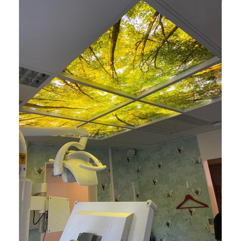 LED sensory Armstrong ceiling lamps